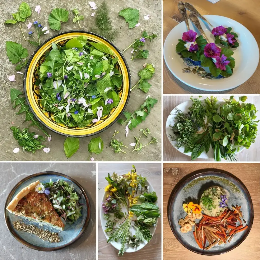 "Koken met Wildpluk" (op donderdagen) - 4 sessies te kiezen - 240 € ipv 280 €