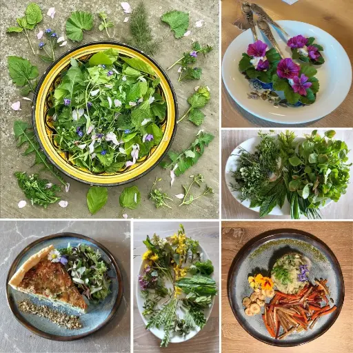 "Koken met Wildpluk" (op donderdagen) - 4 sessies te kiezen - 240 € ipv 280 €